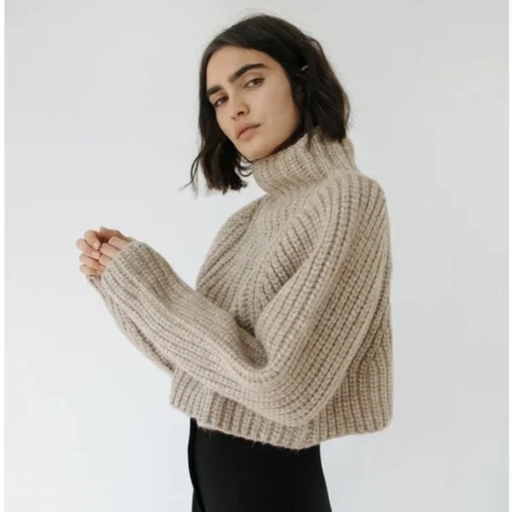 Shaina Mote Cropped Turtleneck Sweater